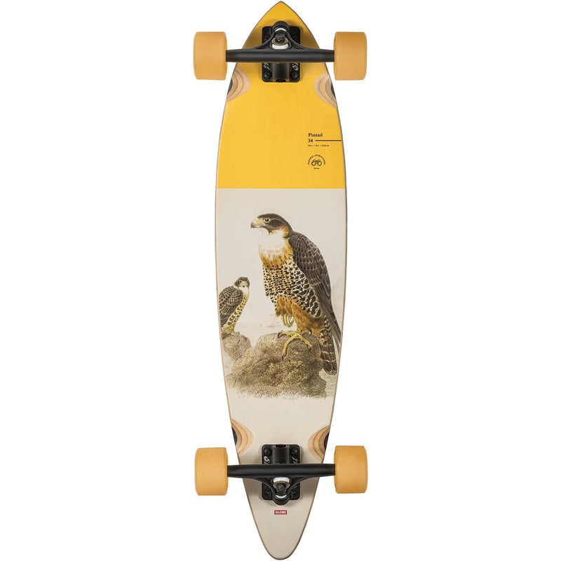 Globe Longboard Pintail 34 Falcon 8.5" x 34"
