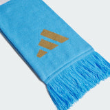 Argentina Soccer Scarf