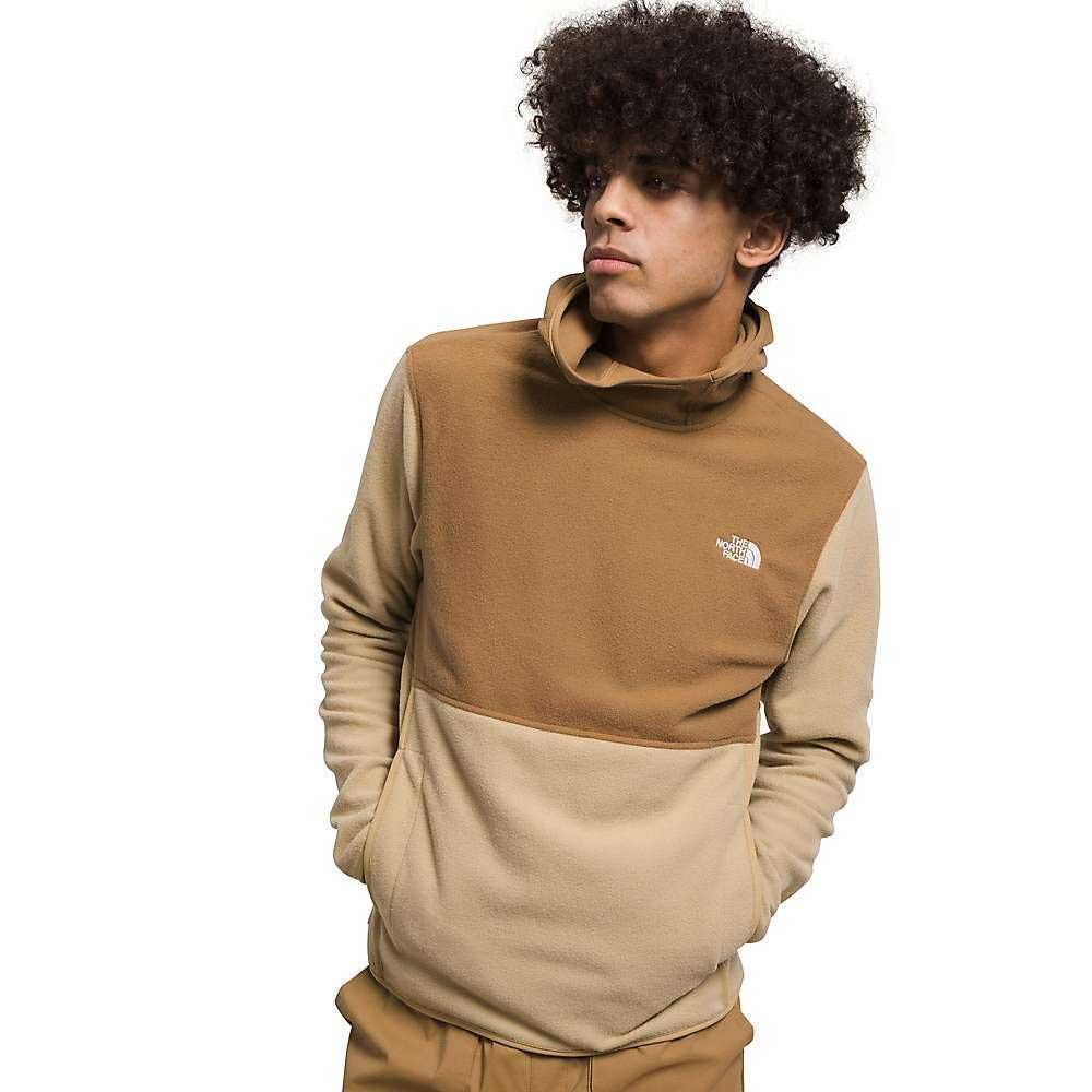 The North Face Mens Alpine Polartec 100 Pullover