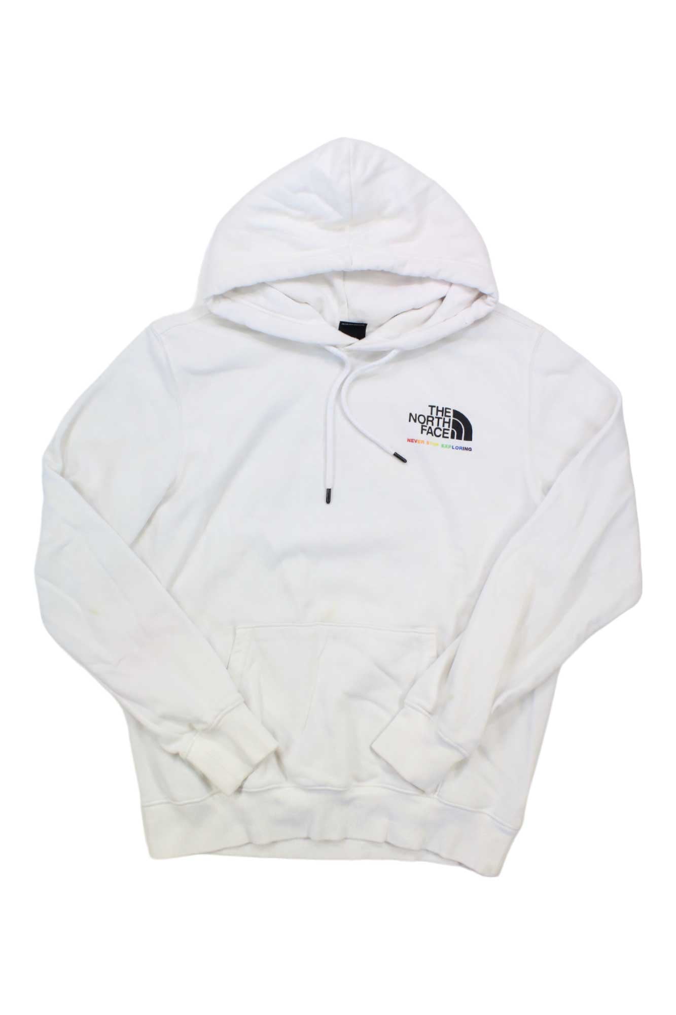 The North Face Pride NSE Hoodie
