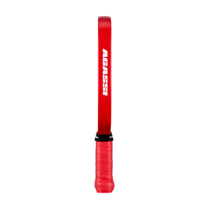 JOOLA Pro IV Mini-Paddle