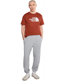 The North Face - Short Sleeve Evolution Half Dome Tee - Men's - Iron Clay