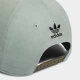 Icon Snapback Hat
