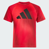 Kids' adidas Two-Piece Short Sleeve Raglan Printed Tee and Shorts Set