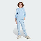 Kids' adidas Hoodie Kids