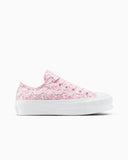 Chuck Taylor All Star Lace Low Top