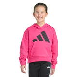 Essential Big Logo Fleece PO Hoody - Youth
