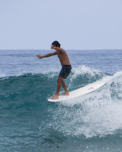 8' Big Softy Longboard