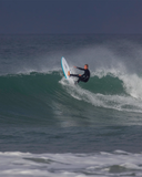 Blue Fin