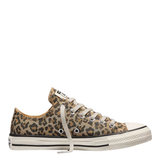 Converse Chuck Taylor All Star Low Top in Leopard Jacquard