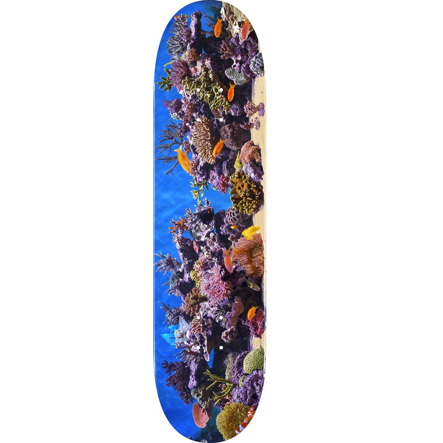 Mini Logo Fish Tank ″18″ Skateboard Deck 242 - 8.0″