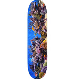 Mini Logo Fish Tank ″18″ Skateboard Deck 242 - 8.0″