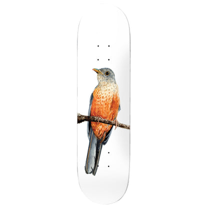 Deathwish Skateboard Deck Yuri Facchini Sabia-Laranjeira 8.125" x 31.5"