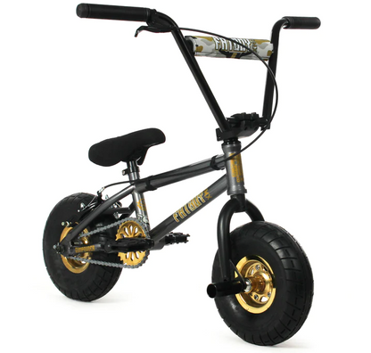 Fatboy Mini Pro BMX