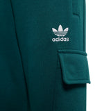 Pullover Hoodie & Cargo Pants Set (Toddler)