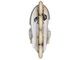 Powerslide Next Mery Munoz Pro 80 Skates