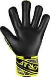 Reusch Attrakt Duo Evolution Goalkeeper Glove