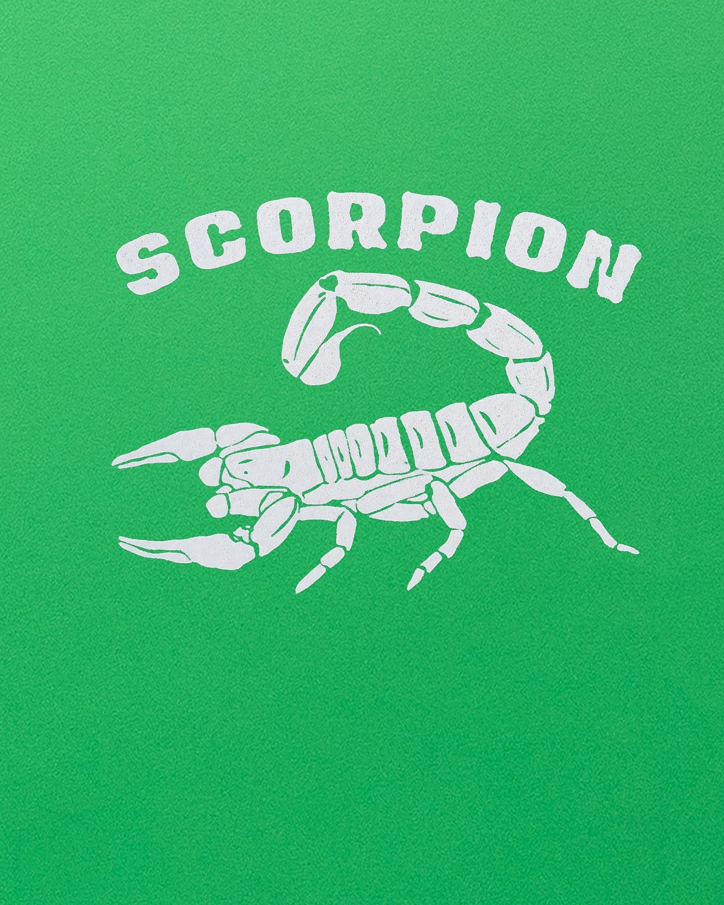 SCORPION 8'0 - Green/White