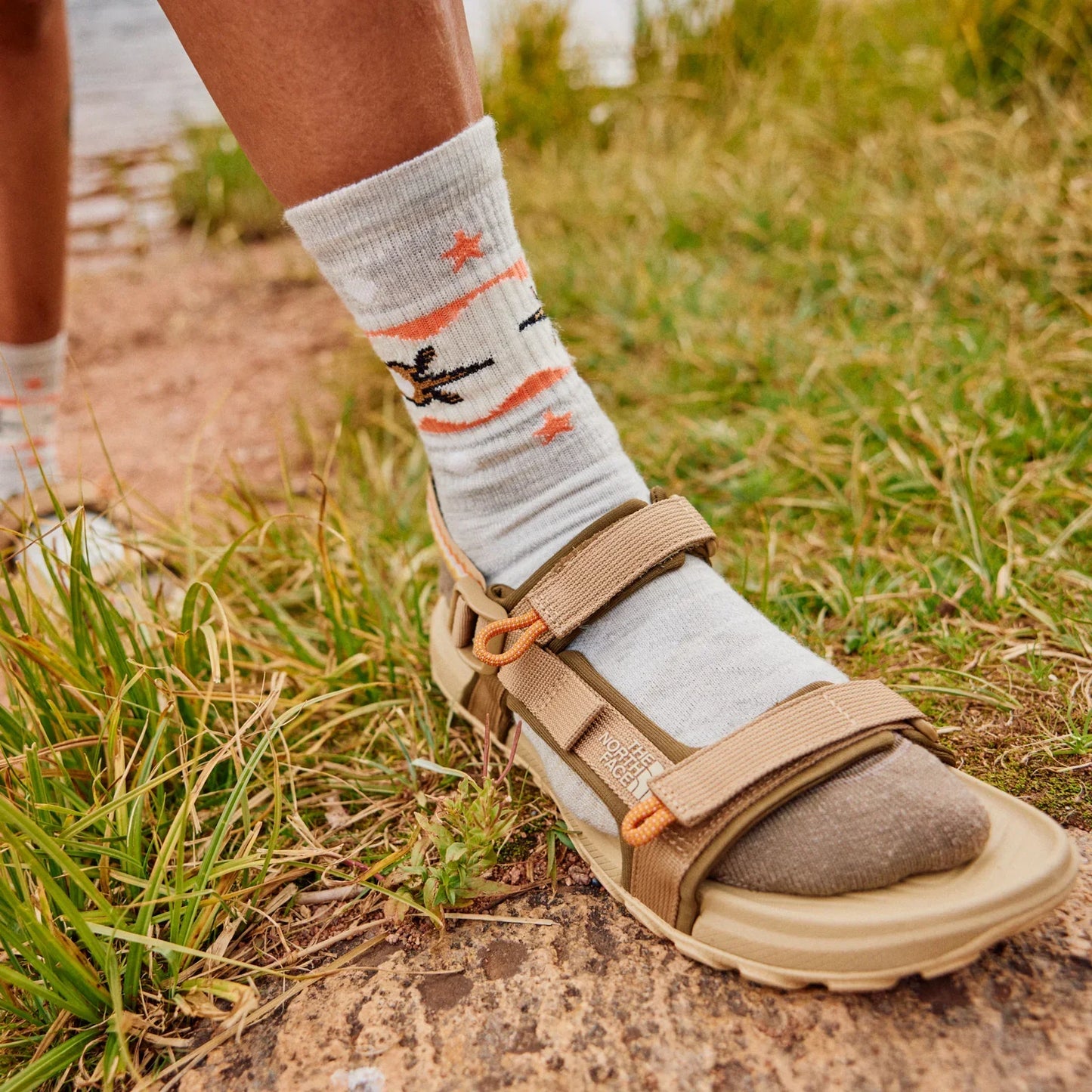Smartwool - Hike Light Cushion Otter Float Crew Socks - Women's  - Ash