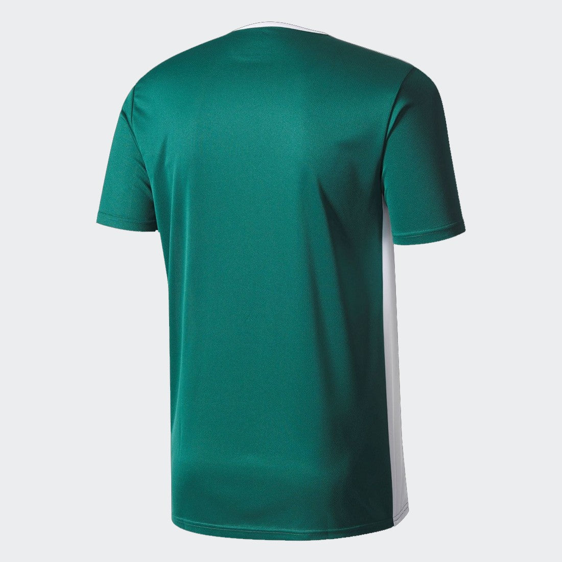 Entrada 18 Jersey - Green/White
