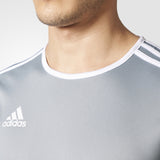 Entrada 18 Training Jersey Silver Men's