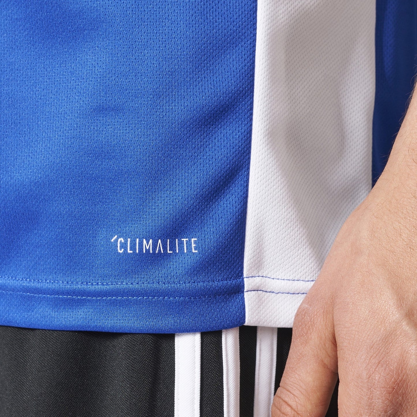 Entrada 18 Jersey Bold Blue Men's