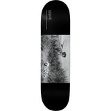 Deathwish Dickson Museum Skateboard Deck 8.5"