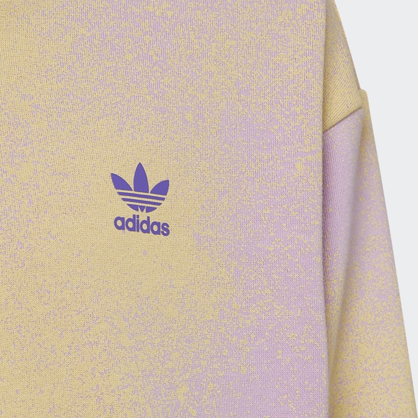 Kids' adidas Graphic Print Crop Hoodie