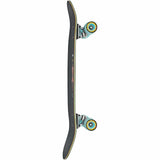 Globe Big Bad Bruiser Lotus 33" Cruiser Complete