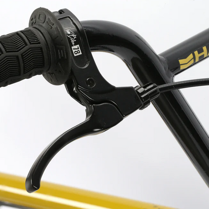 Haro Leucadia Bike