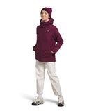 The North Face - Carto Triclimate Jacket - Women's - Boysenberry