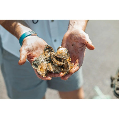 Oris Aquis New York Harbor Limited Edition II