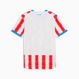 Puma Paraguay 26 Authentic Home Men's Soccer Jersey