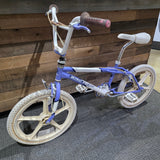 1987 Skyway Street Beat Survivor