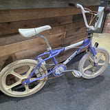 1987 Skyway Street Beat Survivor