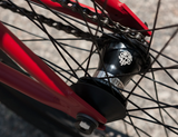 Sunday Forecaster Bike (Freecoaster)