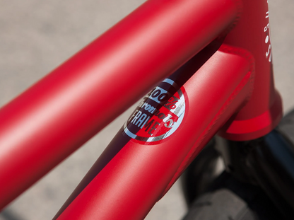 Sunday Forecaster Bike (Freecoaster)