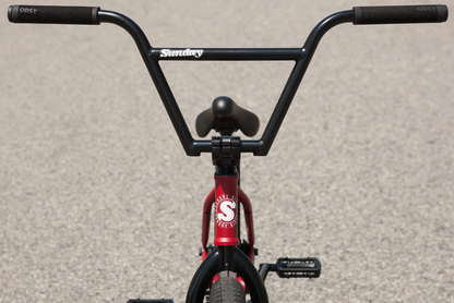 Sunday Forecaster Bike (Freecoaster)