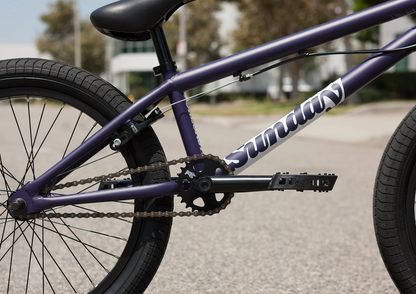 Sunday Forecaster Park Bike