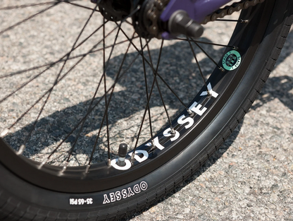 Sunday Forecaster Park Bike