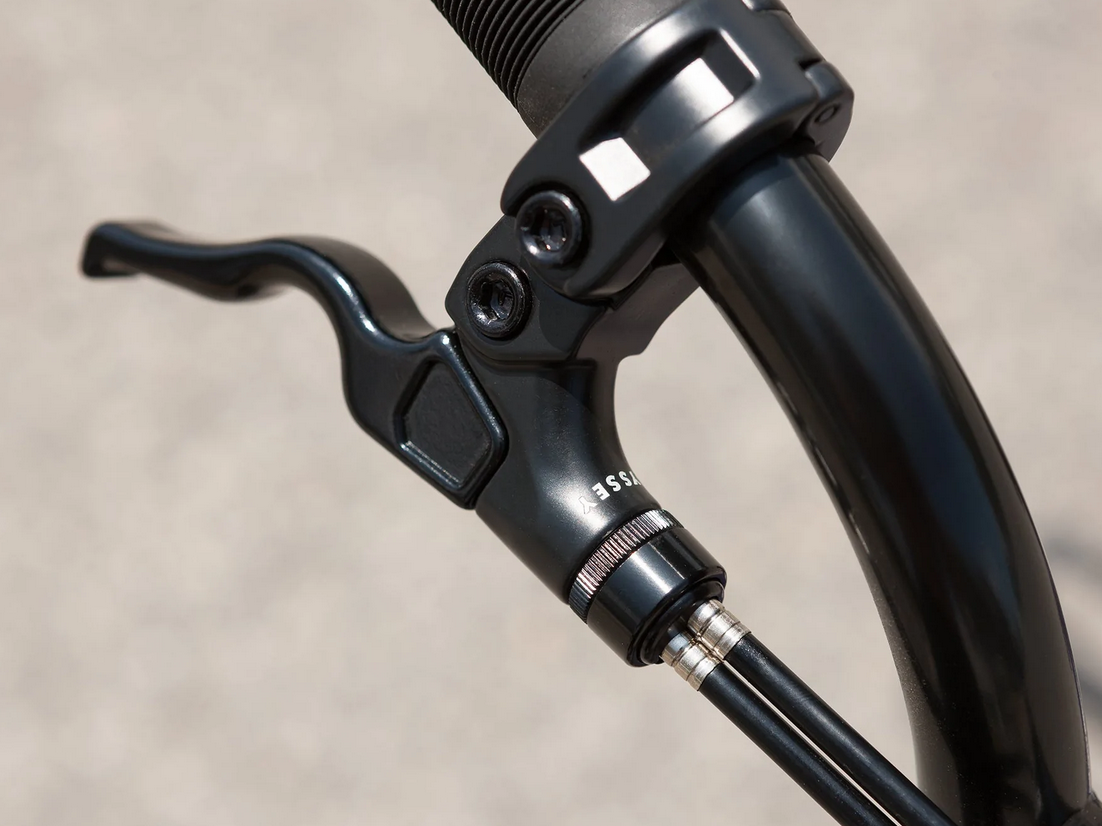 Sunday Forecaster Park Bike