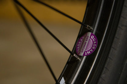 Sunday Silvawave Brett Silva Signature Bike